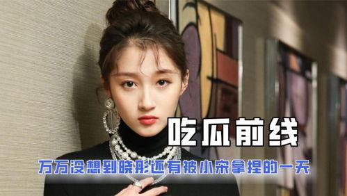 关于娱乐圈的吃瓜的小说